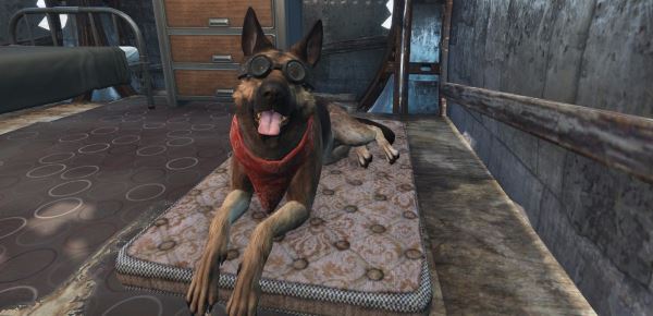 Dog Bed - Матрас для собаки v 1.2 для Fallout 4