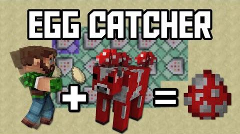 Egg Catcher для Майнкрафт 1.9