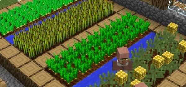Grow-able Corn and Edible Popcorn для Minecraft 1.8.8