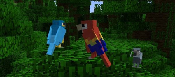 Exotic Birds для Minecraft 1.8