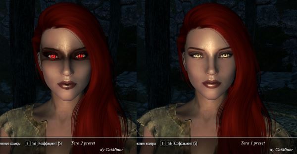 Пресет Тера / Tera presets для TES V: Skyrim