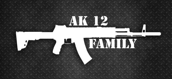AK-12 Family для Fallout: New Vegas
