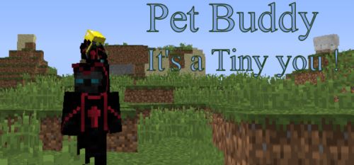Pet Buddy для Майнкрафт 1.10.2