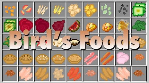 Bird’s Foods для Майнкрафт 1.11.2