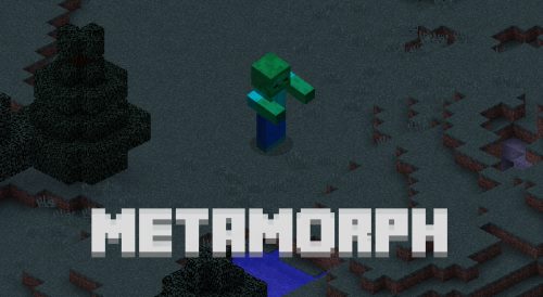 Metamorph для Майнкрафт 1.12
