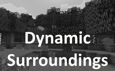 Dynamic Surroundings для Майнкрафт 1.12