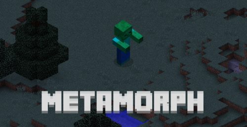 Metamorph для Майнкрафт 1.12.1