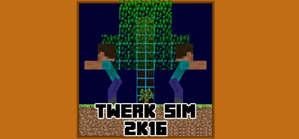Twerk Sim для Майнкрафт 1.12.2