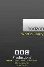 BBC: Что такое реальность? (2011) HDRip