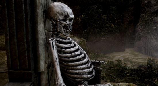 More Bony Skeletons and HD skeleton clutter для TES V: Skyrim