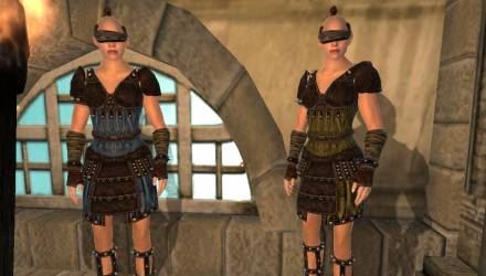 Более высокие тестуры брони арены для TES IV: Oblivion