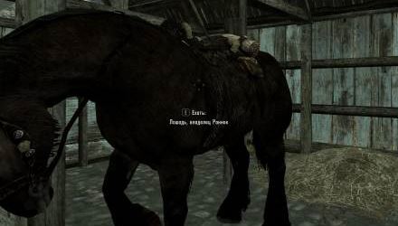 Фикс отображения кириллицы для TES V: Skyrim