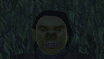 Конокрад для TES IV: Oblivion
