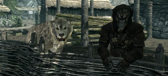 Джаффар спутник для TES V: Skyrim