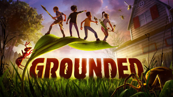 NoDVD для Grounded v 1.0