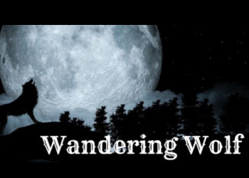 NoDVD для Wandering Wolf v 1.0