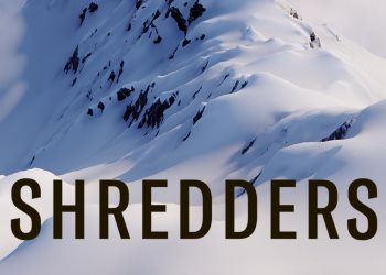 NoDVD для Shredders v 1.0